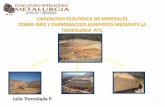 LIXIVIACION ECOLOGICA DE MINERALES COBRE … / ATS 1 - 5.1 0-5 - 3-0 < 3.0 Lixivacion Directa ATS 1- 5.1 < 1.0 Sin Limite • Dos campañas centradas en bio oxidacion de mineral sulfurado