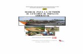 Manual para la Revisión de Estudios de Impacto Ambiental · Ministerio de Transporte e Infraestructura Manual para Revisión de Estudios de Impacto Ambiental 1 ABREVIATURA AID: Área