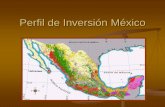 Perfil de Inversión México - Inicio - Consejo Civil Mexicano ... y chatekok En el mercado regional vende madera aserrada y rolliza de varias especies tropicales. Cuenta con certificado