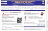 Presentación de PowerPoint -   NEUROMUSCULARES P3 Rodríguez de Rivera ... TAC tórax-abdomen-pelvis: ... atípicos a consecuencia de la afectación de distintas estructuras