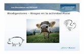 Biodigestores – Biogas en la actividad Rural · los sustratos usados y del tipo de biodigestor: Biodigestores – Biogas en la actividad Rural Sustrato Biogas Resultante (m3 gas