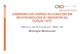 CARRERA DE ESPECIALIZACION EN BIOTECNOLOGIA ...biotecnologiaindustrial.fcen.uba.ar/wp-content/uploads/2010/04... · Las proteinas de capping y algunas de ... secuencias consenso.