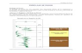 Perfilaje de pozos - OilProduction.netoilproduction.net/files/Perfilaje de pozos.pdf · relación definida entre lo que se mide en los registros y los parámetros de roca de ... (Laterolog)
