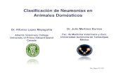 Clasificación de Neumonías en Animales Domésticos · Clasificación de Neumonías en Animales Domésticos Dr. Alfonso Lopez Mayagoitia Dr. Julio Martínez Burnes Atlantic Veterinary