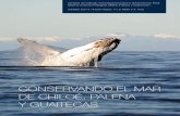 Conservando el mar de Chiloé, Palena y Guaitecas.awsassets.panda.org/downloads/conservando_el_mar_online_1.pdf · CONSERVANDO EL MAR DE CHILOÉ, PALENA ... do y enseñado mucho durante