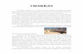 CHAKRAS ·  · 2012-06-15usado como sinónimo de vórtice energético del cuerpo humano, ... bioeléctricos del cerebro hacia cada rincón del cuerpo humano a través de todo el