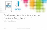 Corioamnioni(s clínica en el parto a Término - HOTOPICS2018 · • Largo plazo: DBP, leucomalacia ... Histología placenta vs LA alterado ... (tb llamado CoA): infección con