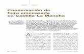 Conservación de flora amenazada en Castilla-La Mancharedforesta.com/wp-content/uploads/2011/01/Conservacion-de-flora...de Castilla-La Mancha y se apoyará en las fuentes de información