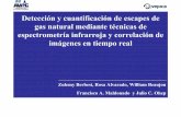 Detección y cuantificación de escapes de gas natural ...³n y cuantificación de escapes de gas natural mediante técnicas de espectrometría infrarroja y correlación de imágenes