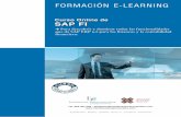 FORMACIÓN E-LEARNING - Iniciativas Empresariales · PDF fileSAP es un sistema informático basado en módulos integrados que abarca prácticamente todos los aspectos de la administración