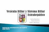 Karla Bolaños Sara Carrera Edwin Meneses - Efmo91's Blog · La pared bacteriana tumoral alfa Inflamatorio FIBROSIS •Reacción inflamatoria del árbol biliar ...