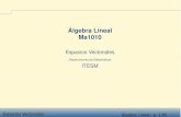 Álgebra Lineal Ma1010 - cb.mty.itesm.mxcb.mty.itesm.mx/ma1010/materiales/ma1010-13a.pdf · Espacios Vectoriales Álgebra Lineal - p. 1/80 Álgebra Lineal Ma1010 Espacios Vectoriales
