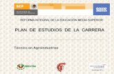 PPLLAANN DDEE EESSTTUUDDIIOOSS DDEE LLAA …cecytev.edu.mx/wp-content/uploads/2012/03/AGROINDUSTRIAS-10-13… · Sistema Nacional del Bachillerato en un marco de diversidad. El programa