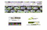 Organiza: Colaboran - Paisajismo Sostenible · Curso online de JARDINES VERTICALES: Fundamentos e Instalación 1. ANTECEDENTES El Grupo de Facebook de Jardines verticales y Cubiertas