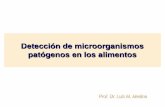 Detección de microorganismos patógenos en los …³n...Métodos rápidos e automatizados em Microbiologia dos Alimentos Author: Luis Medina Created Date: 6/28/2012 9:03:07 AM ...