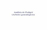 Análisis de Pedigrí (Arboles genealógicos) ·  · 2012-02-29En árboles genealógicos humanos, un desorden autosómico recesivo se revela por la aparición del desorden en la