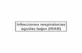 Infecciones respiratorias agudas bajas (IRAB)€¦ ·  · 2015-07-14tipo influenza y la bronquiolitis son las enfermedades respiratorias de mayor frecuencia y gravedad. ETI ... infección