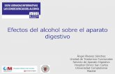 Efectos del alcohol sobre el aparato digestivo€¦ · Circulación sanguínea: difusión rápida por todo el cuerpo afectando a casi todos los sistemas ... ALCORCON 2016 Author:
