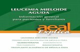 - info@aeal.es 901 220 110 - 91 563 18 01 ...aeal.es/nueva_web/wp-content/uploads/2015/07/aeal...LEUCEMIA MIELOIDE AGUDA - info@aeal.es 901 220 110 - 91 563 18 01 Asociación declarada