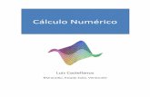 Cálculo Numérico – Luis Castellanos presente guía es un resumen del texto de “Métodos Numéricos para Ingenieros”, de los autores Chapra y Canale. 2. ... Pero son útiles