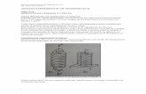 ANALISIS EXPERIMENTAL DE TENSIONES 64-16 Clase …materias.fi.uba.ar/6413/6416/06-AET-Clase 06-2011.pdf · pistón, proporciona la intensidad de las fuerzas aplicadas y donde la presión