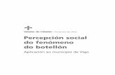 Percepción social do fenómeno do botellón - hoxe.vigo.orghoxe.vigo.org/pdf/valedorcidadan/AO_6GAL.pdf · María del Pilar Fernández Pérez Iván González Rodríguez Mercedes