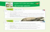 “L“La tortuga gigante” - laestacioneditora.comlaestacioneditora.com/archivos/recursos_docentes/la-maquina/fichas... · Cuentos de la selva para niños página 20. Después de