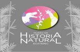 folleto MUSEO DE HISTORIA - Inicio - H. Ayuntamiento de Ecatepec de …ecatepec.gob.mx/folleto MUSEO DE HISTORIA.pdf ·  · 2014-05-19ricos gigantes como el mamut, el diente de sable