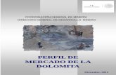 PERFIL DE MERCADO DE LA DOLOMITA - gob.mxeconomia.gob.mx/files/comunidad_negocios/industria_comercio/inform...importantes son como fundente en metalurgia; en la manufactura de cerámica,