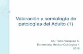 Valoración y semiología de patologías del Adulto (1) · Valoración Es la recogida sistemática y continua, organización, validación y registro de los datos (información) de