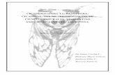 CICÁDIDOS (INSECTA: HEMIPTERA: CICADIDAE) DEL MUSEO PROVINCIAL DE ...€¦ · encuentran en la colección entomológica del Área Zoología de Invertebrados del Museo Provincial
