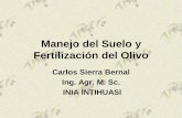 Manejo del Suelo y Fertilización del Olivo · Fertilización del Olivo Carlos Sierra Bernal ... serie de beneficios ... Suelo con baja materia orgánica y su efecto en la dinámica