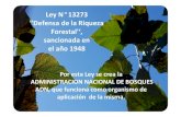 Ley N 13273 ''Defensa de la Riqueza Forestal'‘, sancionada … ·  · 2016-05-19Ley N °13273 ''Defensa de la Riqueza Forestal'‘, sancionada en el año 1948 Por esta Ley se crea