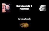 Neurodesarrollo II Plasticidad - cdc.udp.cl · Trazado con apnea obstructiva y arritmia cardiaca. Concluye con un despertar parcial. El hipnograma se complementa con el estudio de