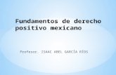 Fundamentos de derecho positivo mexicano.… · PPT file · Web viewLa igualdad jurídica significa que el sistema de normas otorga sin exclusión en el mismo trato ... Nacional