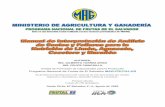 Santa Tecla, El Salvador, C.A, Agosto de 2006repiica.iica.int/docs/B4001e/B4001e.pdfPrograma Nacional de Frutas de El Salvador MAG-FRUTAL-ES Se permite la reproducción total o parcial