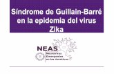 Síndrome de Guillain Barre en Zika virus - neasstudy.orgndrome-de-Guillain...manejo de la infección por virus Zika y sus complicaciones. Con el apoyo del fondo Bart McLean para la