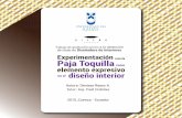 Experimentación Paja Toquilla - DSpace de la Universidad ...dspace.uazuay.edu.ec/bitstream/datos/4701/1/11163.pdf · previsto varios tipos de anclajes y sistemas que ... dotada de