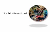 La biodiversidad - Bioyciencias  patrones en cuanto a la distribucin de la biodiversidad: DNDE EST LA BIODIVERSIDAD ? Patrones de Biodiversidad