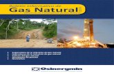 Gerencia de Fiscalización de Gas Naturallarevistadelgasnatural.osinerg.gob.pe/publicaciones/files/34_2.pdf · actualizada sobre el desarrollo de la industria y el mercado del gas
