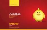 Avicultura - INDIVindiv.com/uploads/catalogos/AVICULTURA_ESP.pdf · Avicultura Soluciones Integrales INDIV® es una marca de prestigio internacional como fabricante e integra-dor