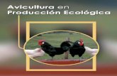 maqueta AVICULTURA 3/11/06 15:56 Página 1 · Las producciones avícolas ecológicas son unas de las producciones ganaderas con más diferencias respecto al sistema de producción