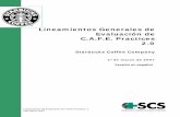 Lineamientos Generales de Evaluación de C.A.F.E. … · 1 Definición del “Informe Brundtland” de la Comisión Mundial sobre el ... 1.1.1 Preparación del grano de oro y perfil