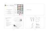 3. Agnosia visual y auditiva - Neurociencia Cognitiva y ...neurocognitiva.org/wp-content/uploads/2014/10/3.-Agnosia-visual-y... · Laboratorio de Neurociencia Cognitiva y Social,