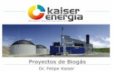 Dr. Felipe Kaiser - Sociedad Nacional de Agricultura. Pto. … ·  · 2017-06-21Beneficios de la producción de biogas • Energía: –Autoabastecimiento de energía eléctrica
