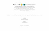 UNIVERSIDAD CATÓLICA ANDRÉS BELLO ESCUELA DE …biblioteca2.ucab.edu.ve/anexos/biblioteca/marc/texto/AAS5758.pdf · 3.6.2 Extensión de marca ... 6.11 Actividad(es) que realiza