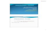 Oncologia Felina 2014 - cmvsf2.orgcmvsf2.org/web/wp-content/uploads/2016/08/ONCOLOGÍA-FELINA-VII...OTROS METODOS DIAGNOSTICOS ECOGRAFIAS RADIOGRAFIAS ... FIBROADENOMATOSIS FELINA