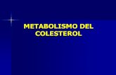 METABOLISMO DEL COLESTEROL - Guía de … Pregnenolona Progesterona Afecta el metabolismo de los carbohidratos y proteínas, suprime la respuesta inmune,inflamatoria y procesos alergicos