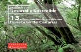 manual 13 alta - Fundación Banco Santander · Este Manual, editado por ... do a cabo diferentes trabajos de restauración forestal en tres espacios naturales de la isla de Tenerife.
