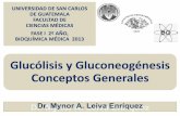 Glucólisis y Gluconeogénesis Conceptos Generales · Glucólisis 3a. Etapa: Metabolismo de Triosas. En este paso, cada una genera ... de escasez de carbohidratos. Provee glucosa